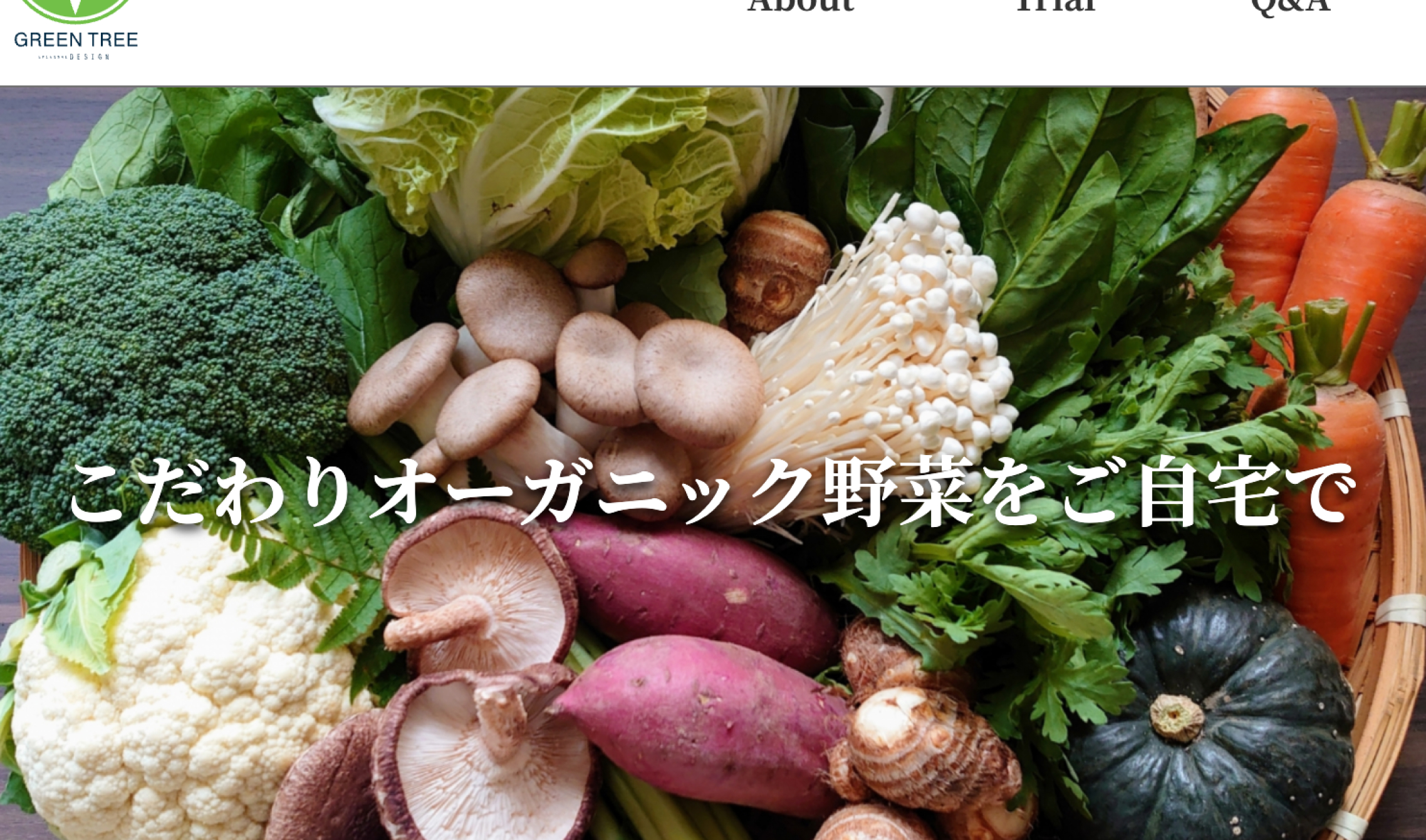 沢山の野菜の写真